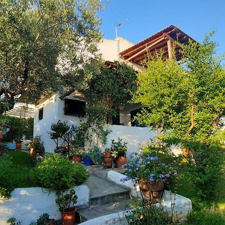 Villa Sonia'S House With Garden Gerakini Exterior foto