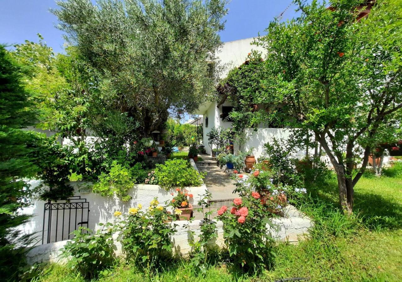 Villa Sonia'S House With Garden Gerakini Exterior foto